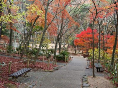 瑞宝寺公園 - 有馬温泉