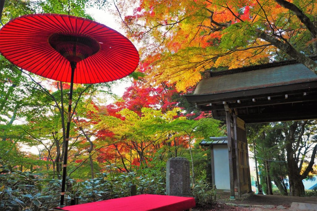 瑞宝寺公園の紅葉 - 有馬温泉